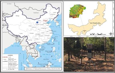 On Change of Soil Moisture Distribution With Vegetation Reconstruction in Mu Us Sandy Land of China, With Newly Designed Lysimeter